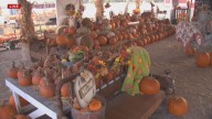 Family-fun fall festivities flourish at The Patch at Glenpool