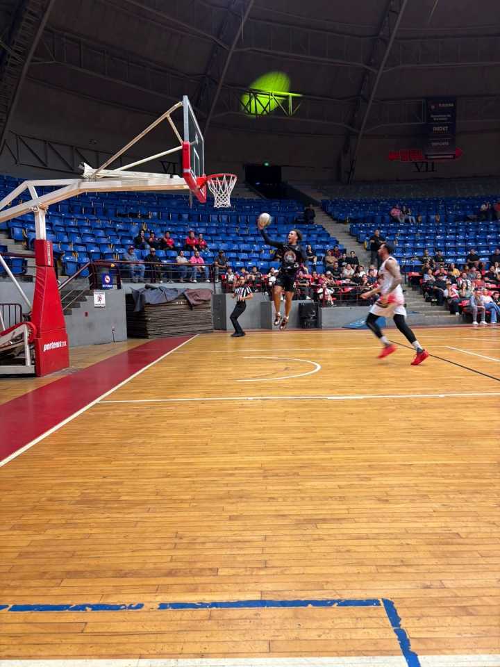 Reyes 72-86 Serpientes