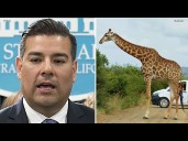 Safari, 5-star resorts: New questions about CA insurance boss' travel