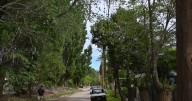 Vecinos de Paso Córdoba reclaman asistencia ante problemas con el suministro de agua