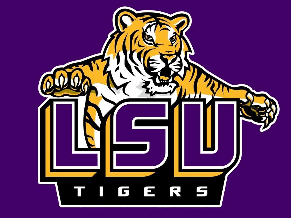 Sympathy Pours in For LSU Football Reporter Who Lost Wife to Cancer & Makes Strong Return LSU football reporter makes emotional return to cover Tigers' coaching search after losing wife to cancer. Fan