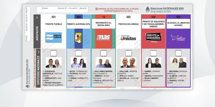 Elecciones 2025: cómo es la Boleta Única de Papel de San Luis y quiénes son los candidatos