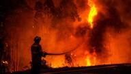 Portugal bate su récord: 88 detenidos en prisión preventiva por estar detrás de los incendios forestales de este año