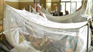 B'desh reports 9 more fatalities due to dengue; death toll in 2025 rises to 212