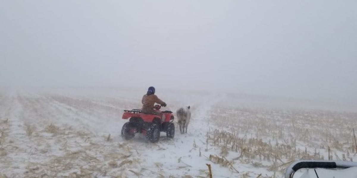 Average October snowfall