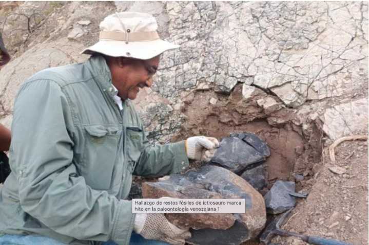 Descubrimiento de restos fósiles en Táchira marca un hito