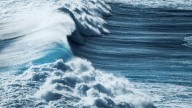 Advierten a miles que no entren al mar por corrientes mortales en Carolina del Norte”