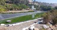 Celebran 32 años de Ecoparque