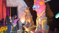 Inauguran “Camino al Mictlán: raíces y recuerdos”