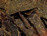 Millions Of Pounds Of Beef Jerky Recalled Due To Possible Presence Of 'Wiry Metal'
