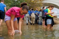 Tennessee Aquarium set to celebrate 25th anniversary of the Lake Sturgeon reintroduction program