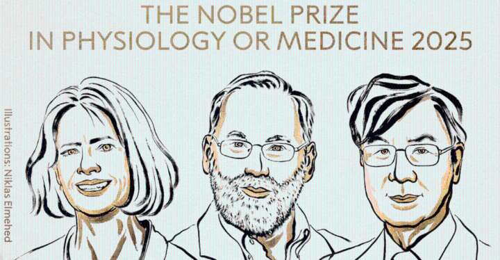 Premio Nobel de Medicina 2025 para Brunkow, Ramsdell y Sakaguchi