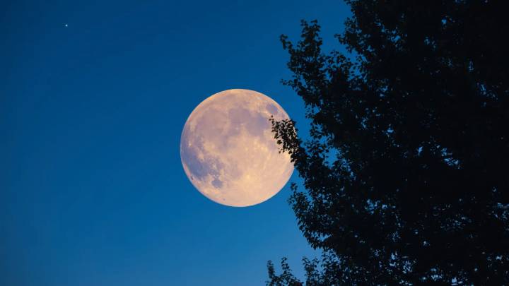 Llega la superluna más grande y más brillante del año: cuándo y donde ver la 'Luna del castor'