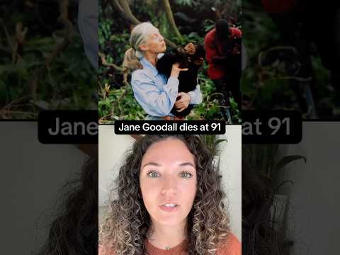 Renowned conservationist Jane Goodall dies at 91 #shorts