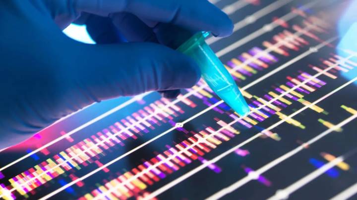 Nuevos avances científicos en el ADN revelan las causas por las que murieron miles de soldados de Napoleón