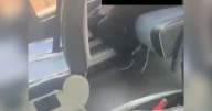 Woman 'traumatised' after creep 'caught masturbating' next to her on city bus