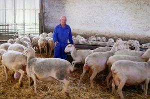 Far right harvests votes as climate rules roil rural Spain