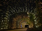 Holiday Lights Open at Cheekwood on November 21