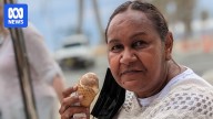 Donna Nelson drops attempts to overturn Japan drug smuggling conviction