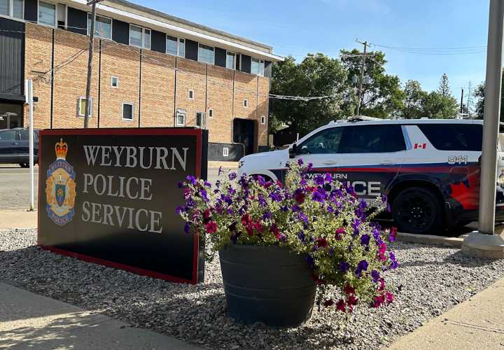A criminal campsite: Illegal firepit, stolen items found in wooded area