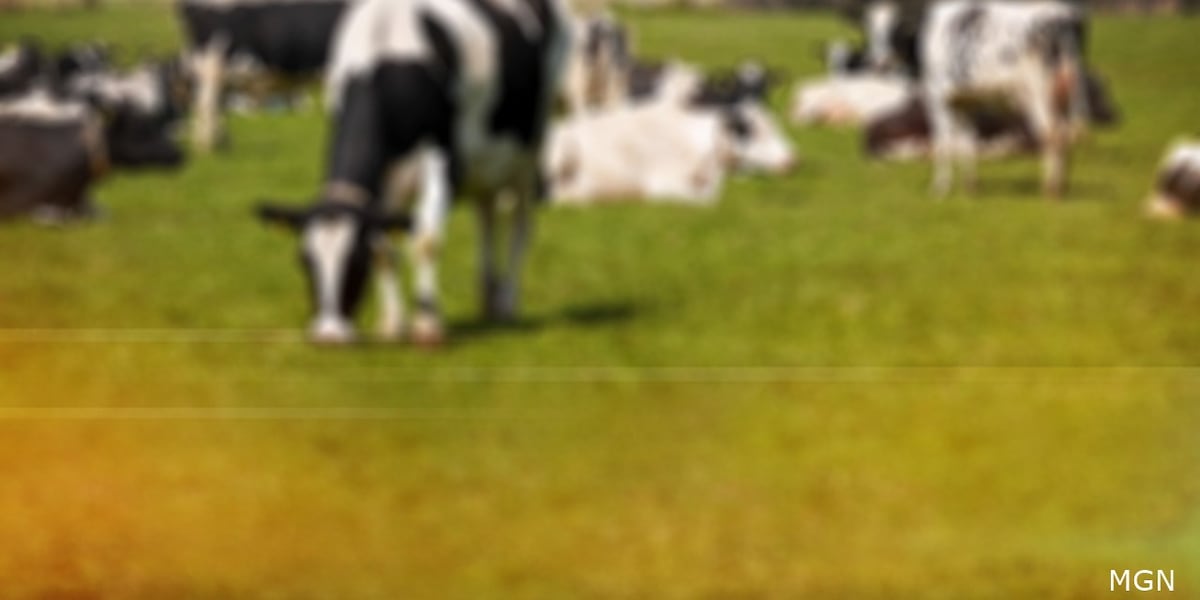 Wisconsin DNR hosting public hearing for Gilbert Farms proposed expansion