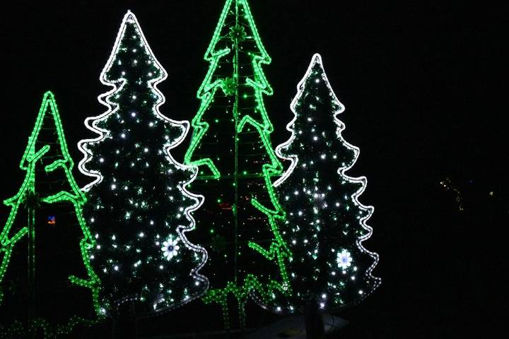Belleville’s Festival of Lights opens Nov. 14 at Jane Forrester Park