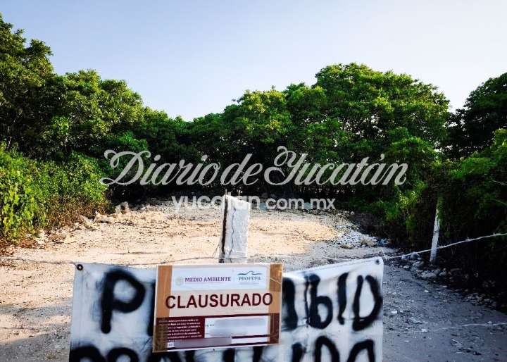 Clausura Profepa dos predios en Chicxulub Puerto y un aserradero en Campeche
