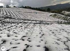 Reporte Oficial: Granizada en Suba y Usaquén Genera Emergencias Viales y de Alcantarillado