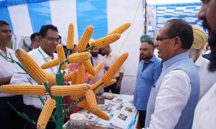 Rs 1.6 lakh approved per family for reconstruction of 36,703 houses damaged in Punjab floods: Union Minister Chouhan
