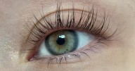 The £12 lash growth serum so 'effective', a bottle sells every 10 seconds