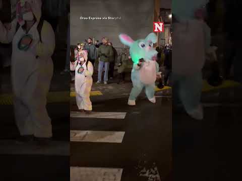 Officers Target Protester In Bunny Costume With Laser Outside ICE Facility