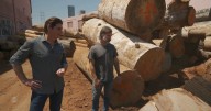 Second life for California trees burned in wildfires