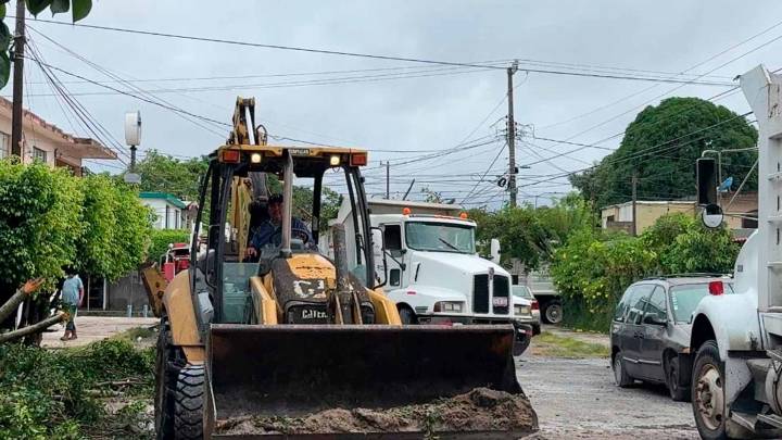 Fuertes Lluvias Derriban Árboles de 100 Años en Tampico