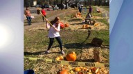 Recycle jack-o'-lanterns at Capital Region pumpkin smashing events
