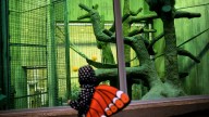 National Zoo cancels Boo at the Zoo due to government shutdown