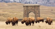Shutdown smokescreen? Public lands furloughs could become layoffs