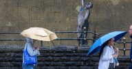 Thunder, gales and showers forecast for the South West