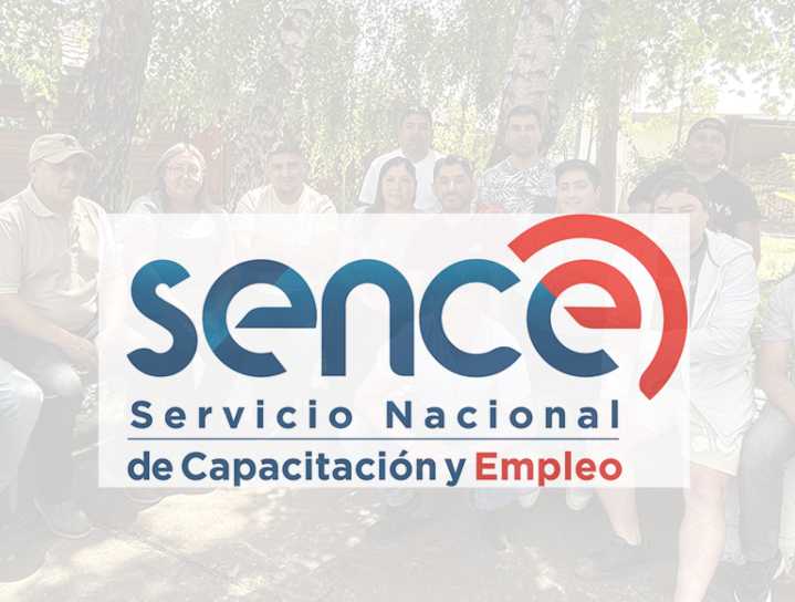 Modalidad online y sin límite de cupos: SENCE lanza nuevos cursos gratuitos en minería