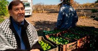 Noroña viajará a Palestina: ‘Debería ir a Apatzingán, que hable por los limoneros’, señala líder priista