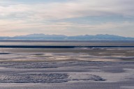 Trump administration finalizes plan to open pristine Alaska wildlife refuge to oil and gas drilling