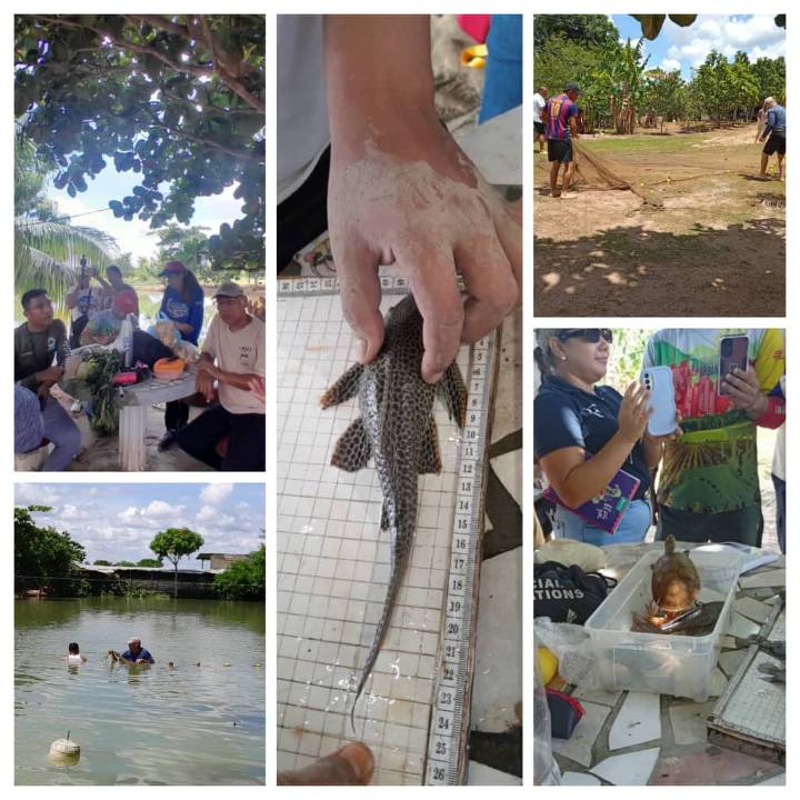 Dictan en Maturín taller de piscicultura comunitaria