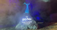 Harry Potter event should have had public vote: Vancouver commissioner