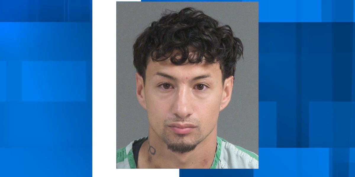North Charleston Police arrest man on weapon possession charge