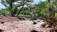 Floods strike Utah after heavy rainstorms