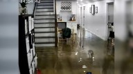 Illinois Dog’s Response To Rising Water Turns Into A Viral Moment Of Comedy