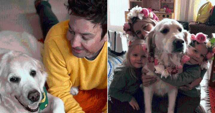 Jimmy Fallon Shares Heartfelt Tribute After Losing His Beloved Dog Gary: ‘The House Is So Quiet’