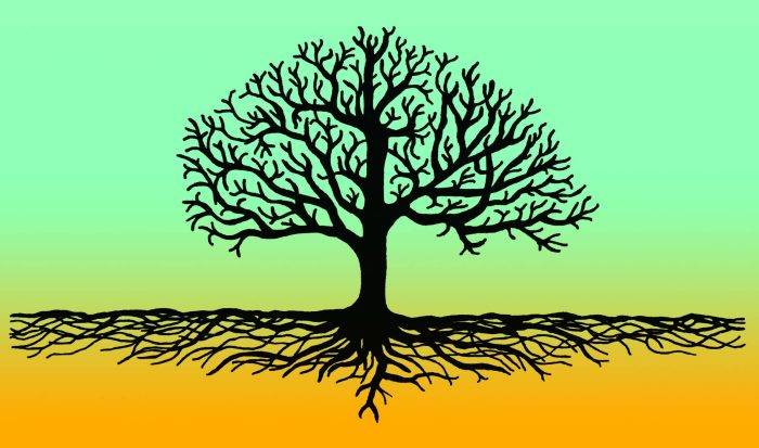 You Can’t Unchop a Tree