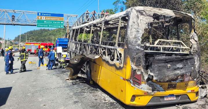 Boxer burns to death under bus in horror crash as devastated trainer pays tribute