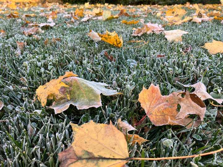 N.J. weather: Cool and breezy conditions continue with patchy frost possible