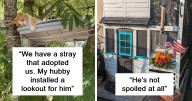 29 Times Creative People Came Up With Cool DIY Ideas To ‘Catify’ Their Homes